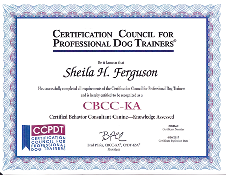 CBCC-KA Diploma