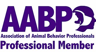aabppromember